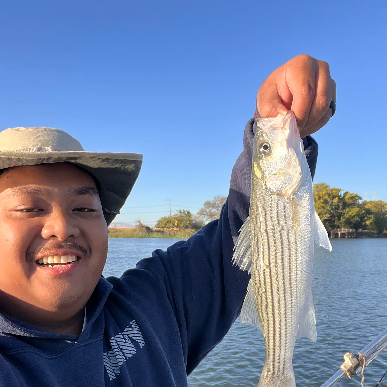 Striped bass caught on Fishbrain