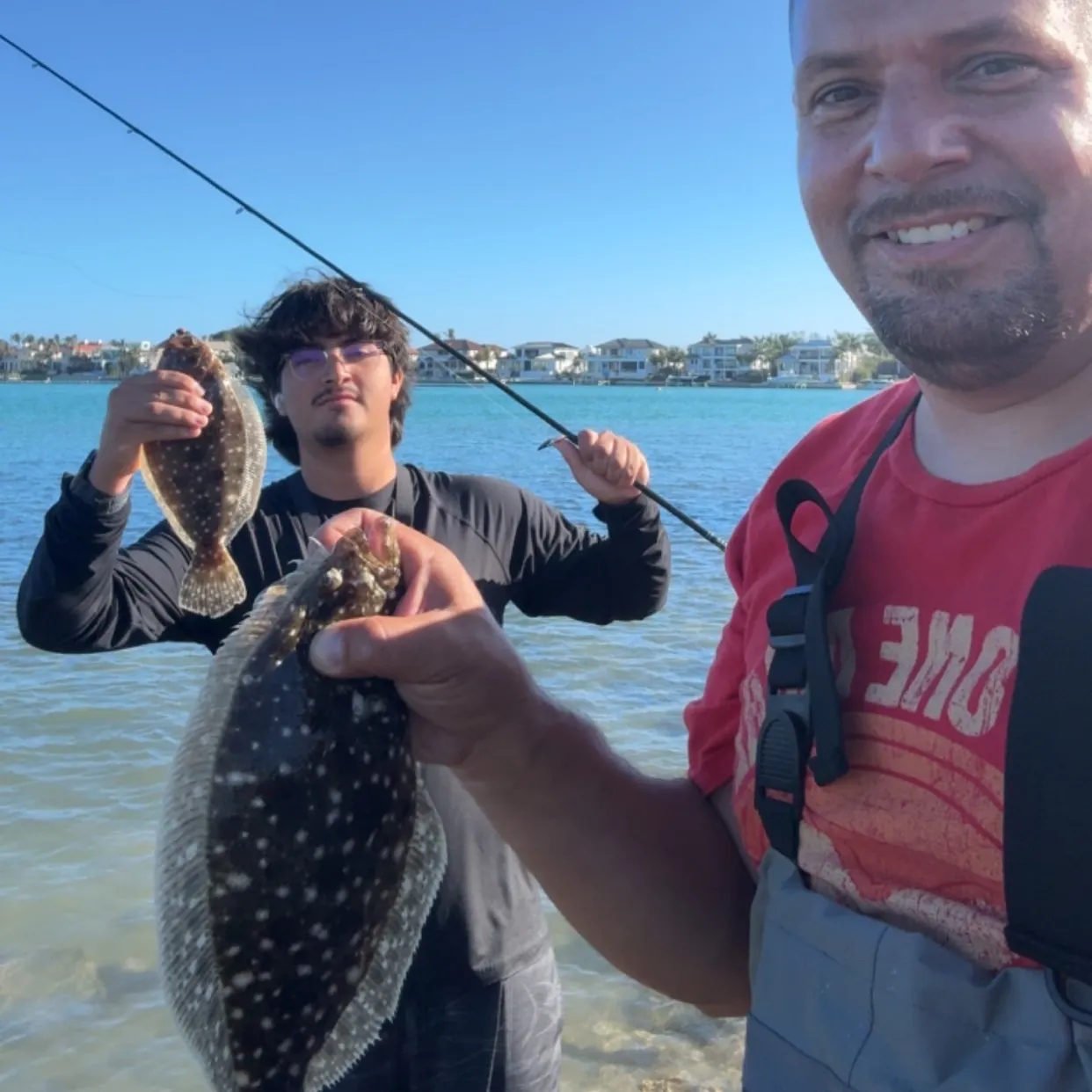 The most recent Summer flounder catches on Fishbrain