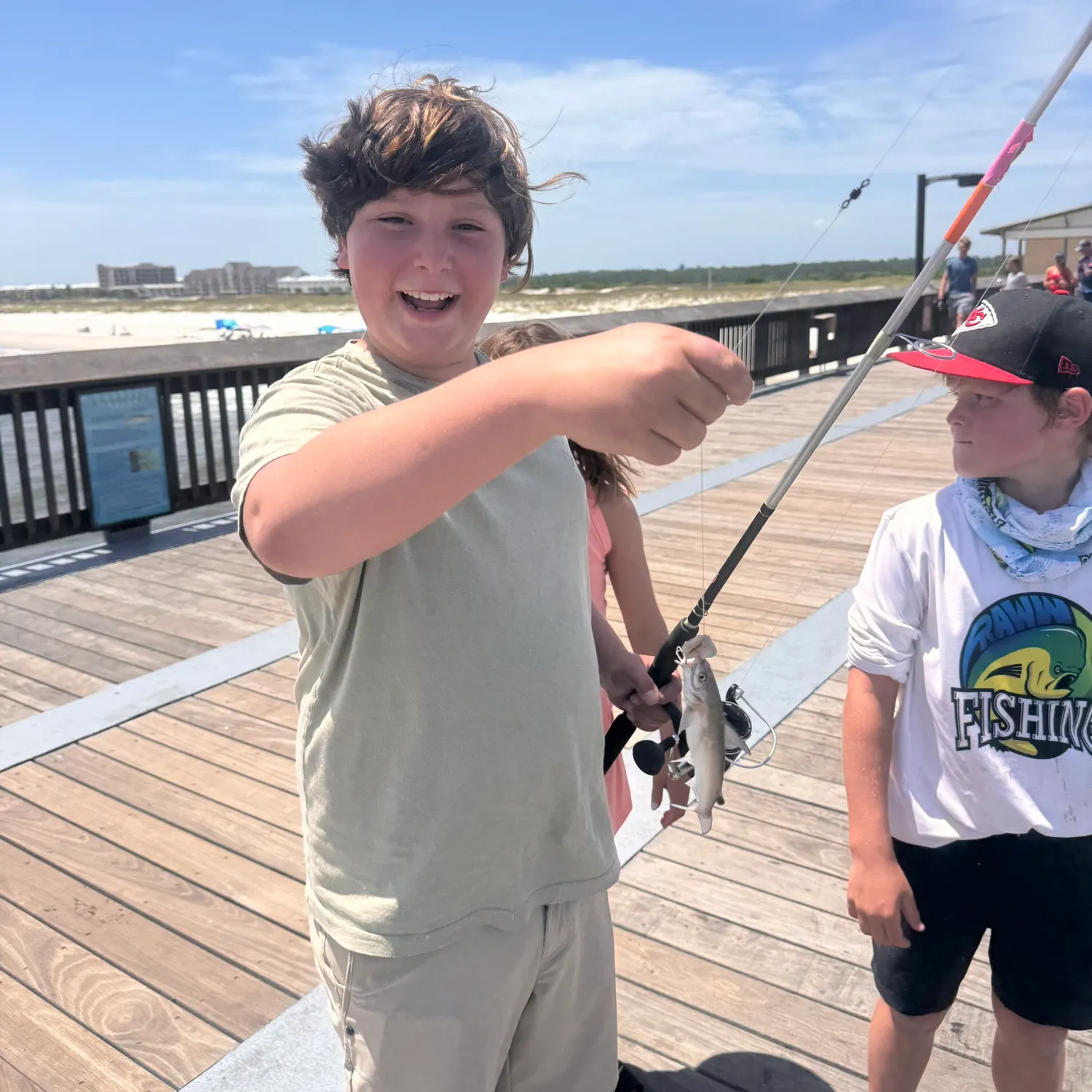 The most recent Spotted sea catfish catches on Fishbrain