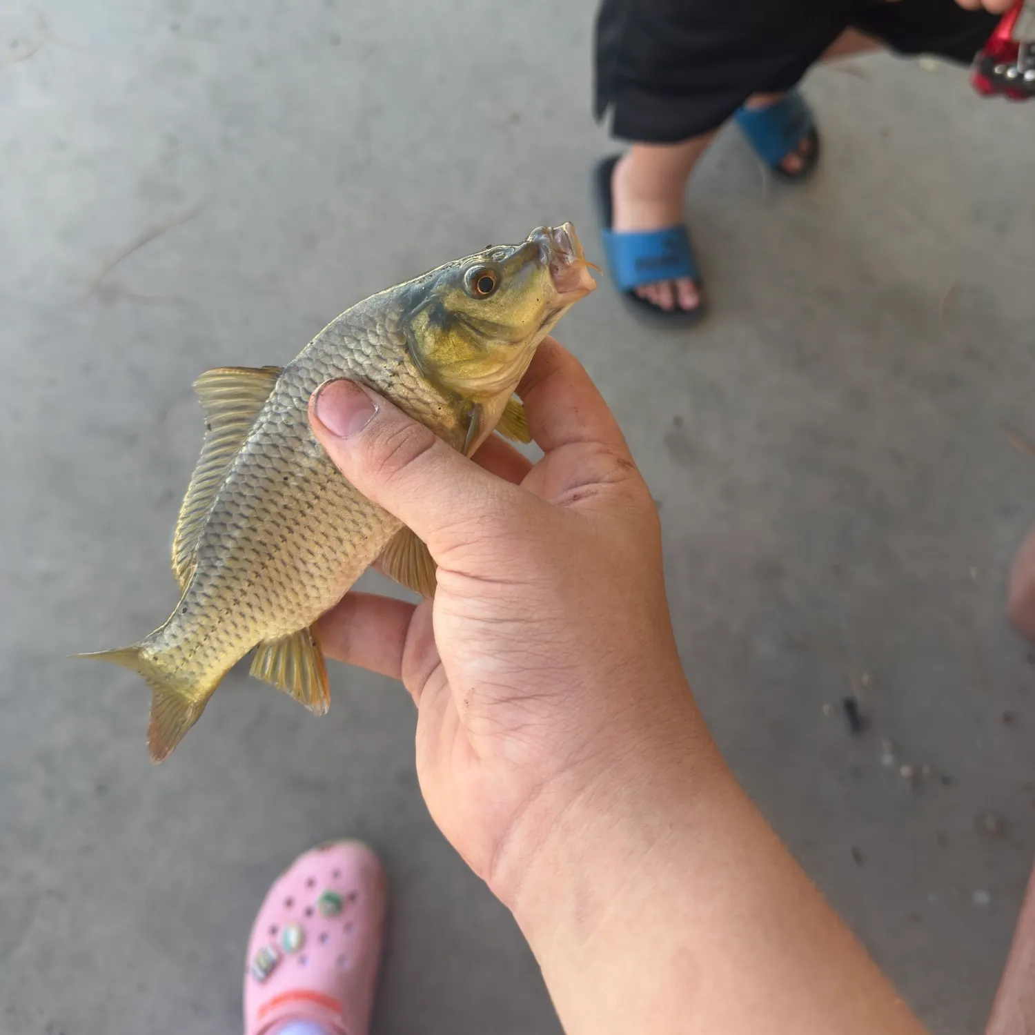 catch