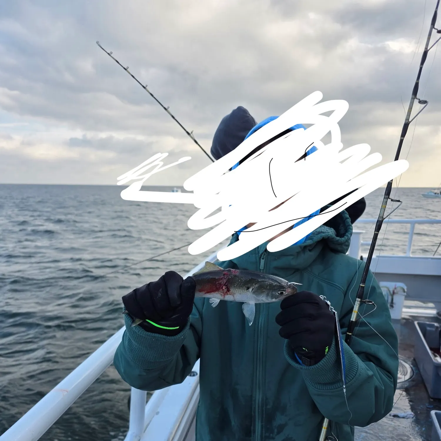 The most recent Gulf menhaden catches on Fishbrain