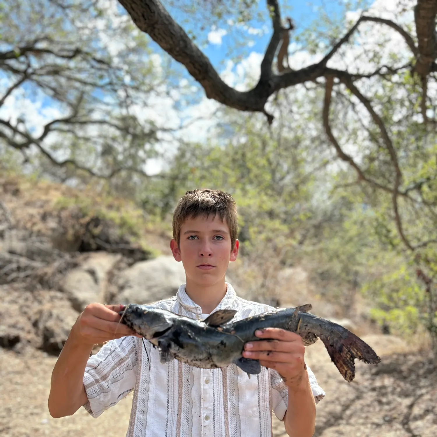 Channel catfish caught on Fishbrain