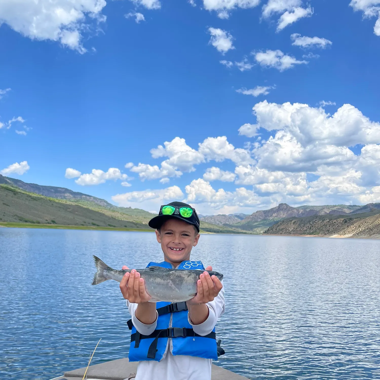 The most recent Kokanee salmon catches on Fishbrain