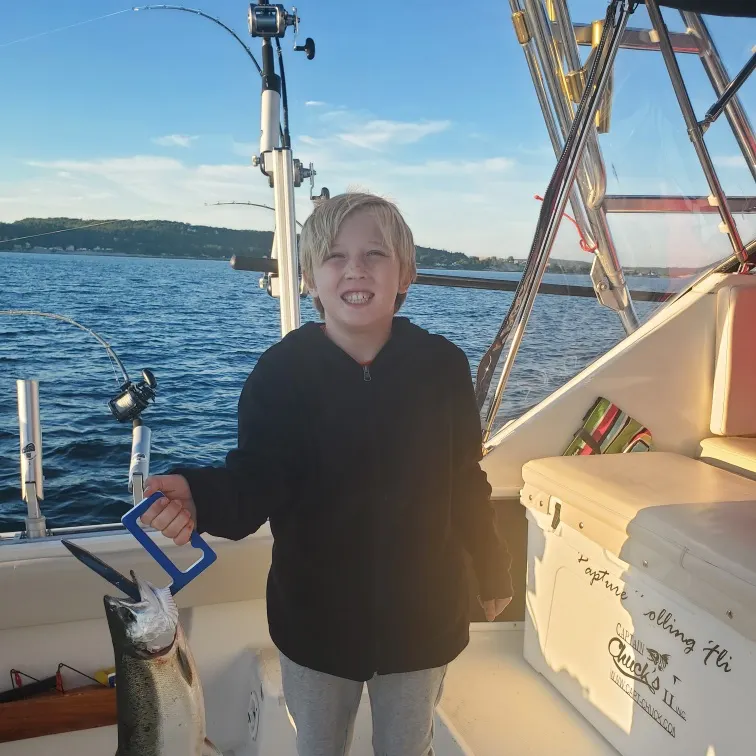 The most recent Coho salmon catches on Fishbrain