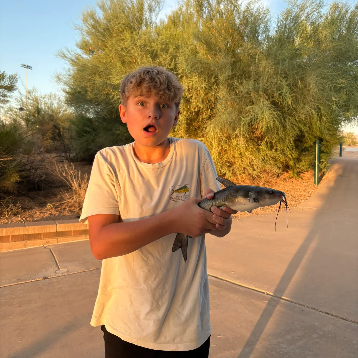 catch