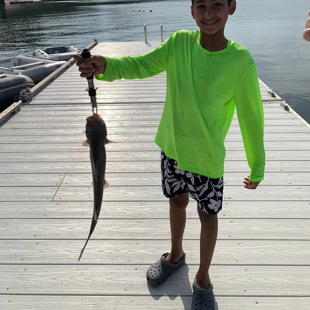 The most recent Piked dogfish catches on Fishbrain