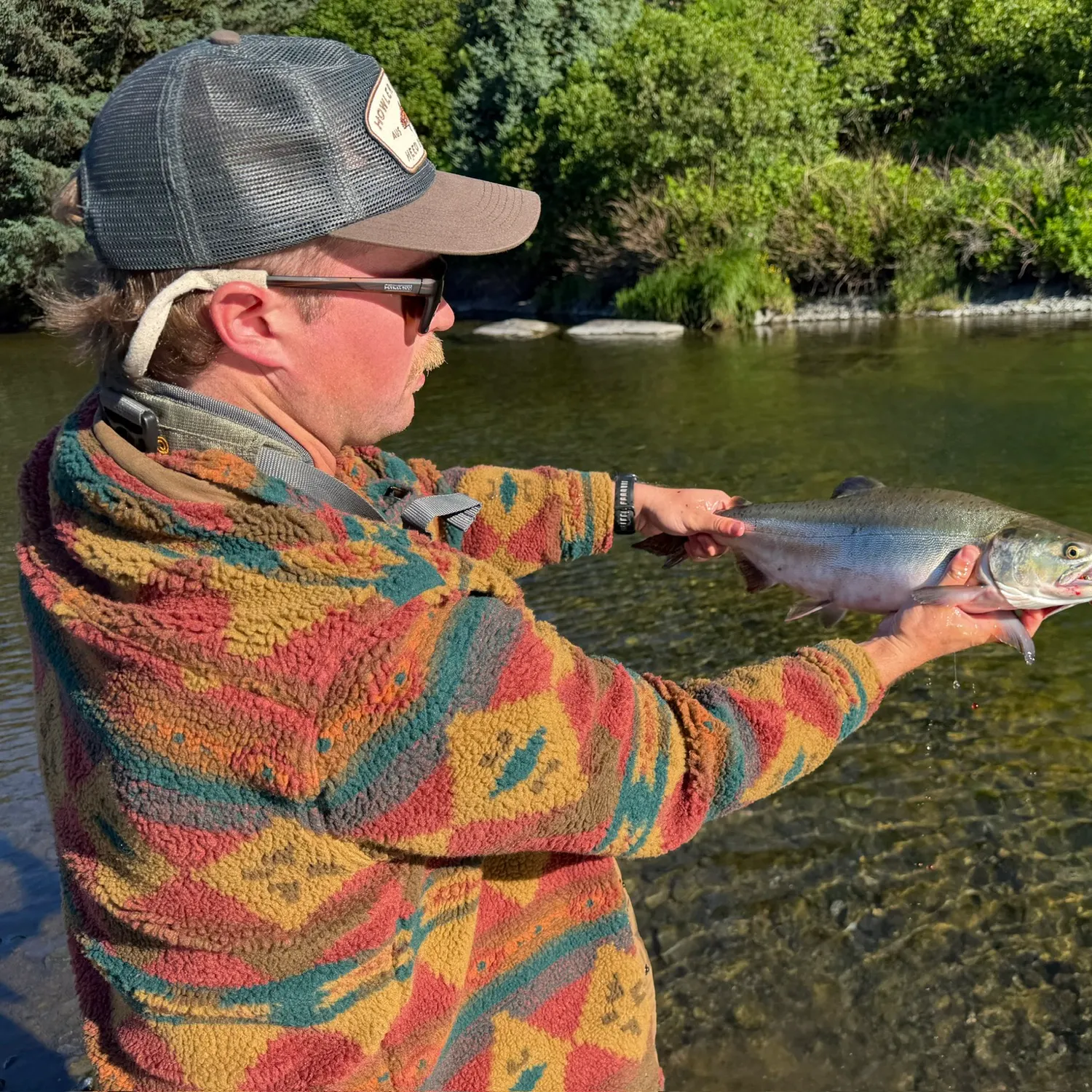 Pink salmon caught on Fishbrain