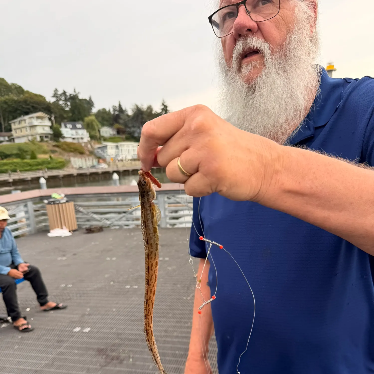 The most recent Snake prickleback catches on Fishbrain