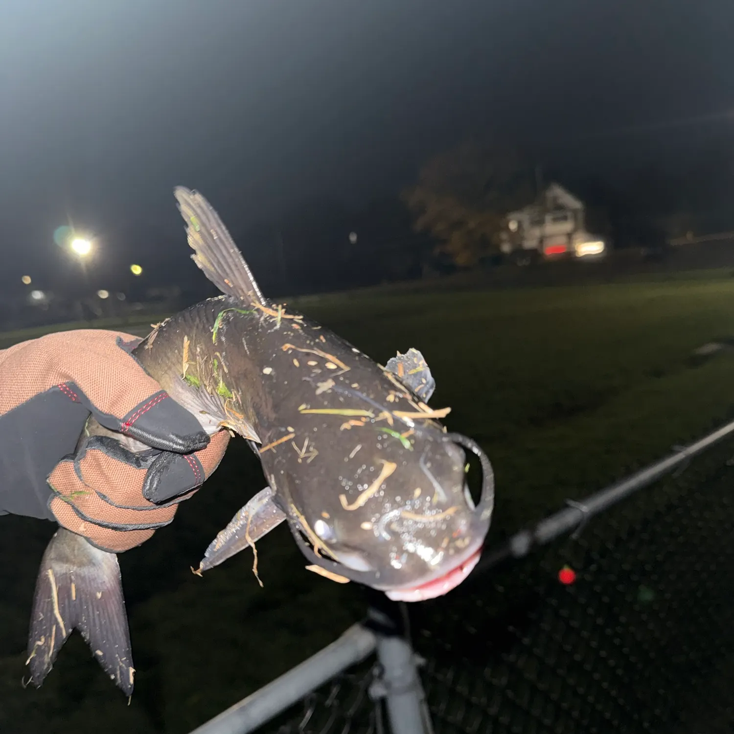 catch