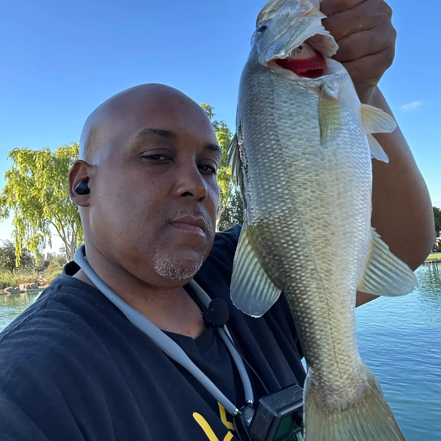Largemouth bass caught on Fishbrain