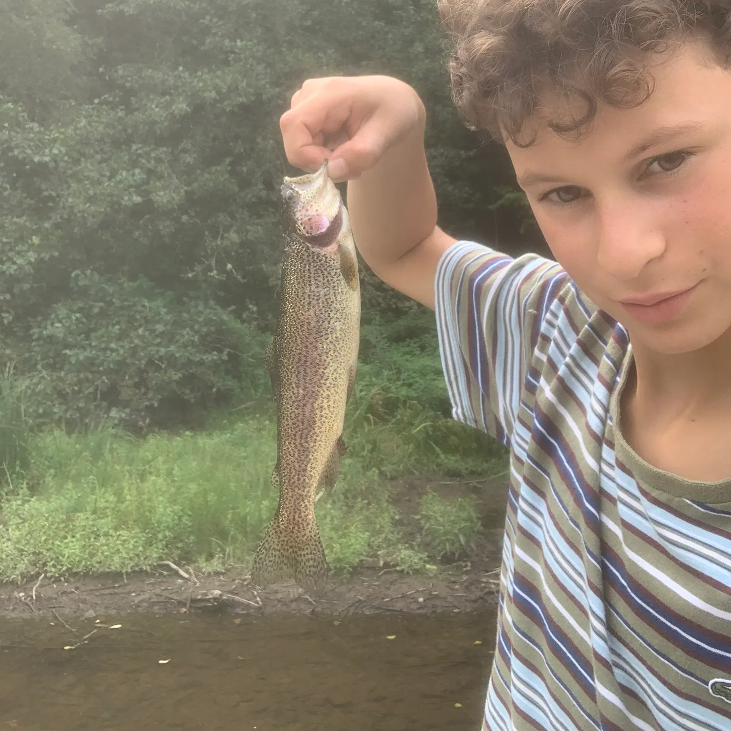 Rainbow trout caught on Fishbrain