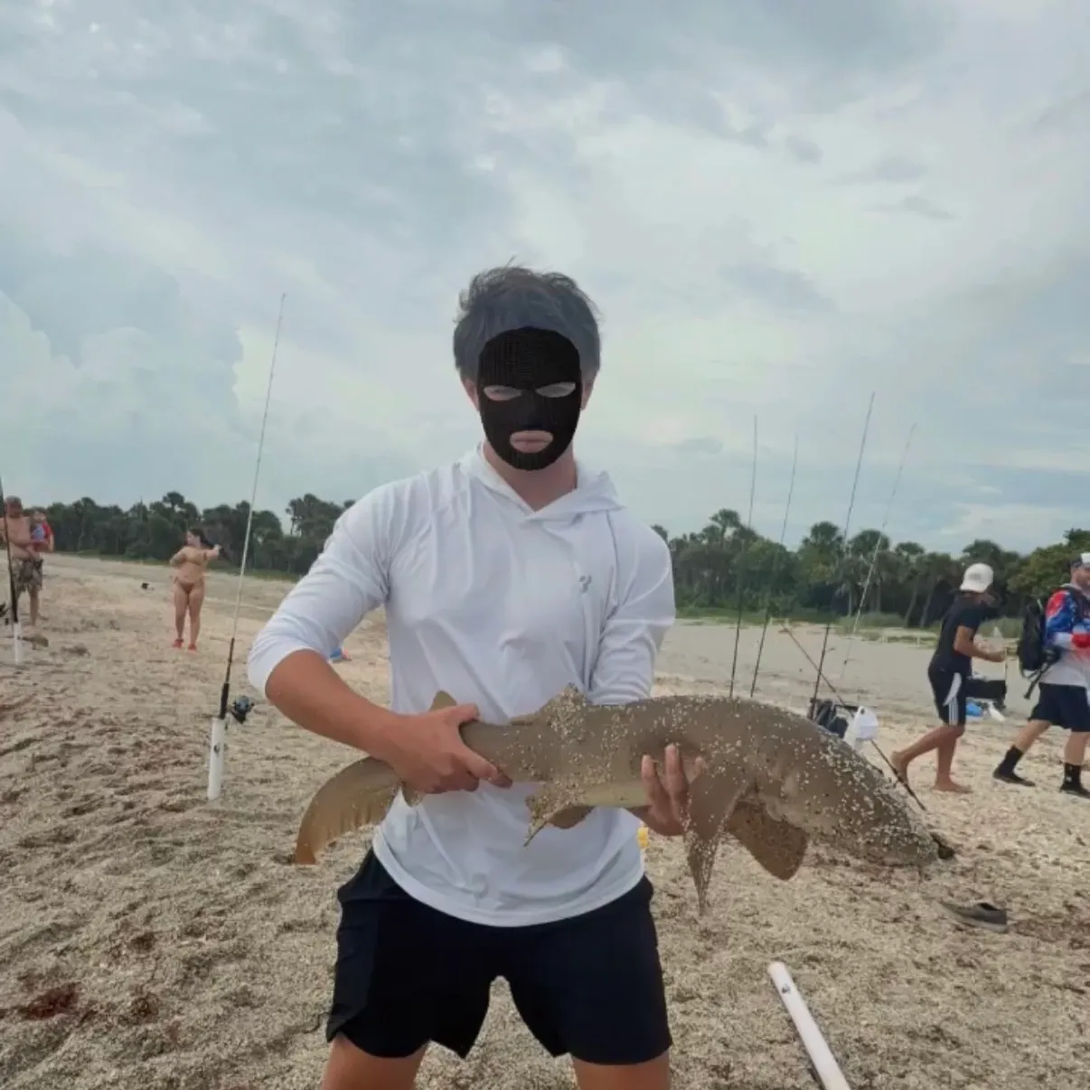 The most recent Nurse shark catches on Fishbrain