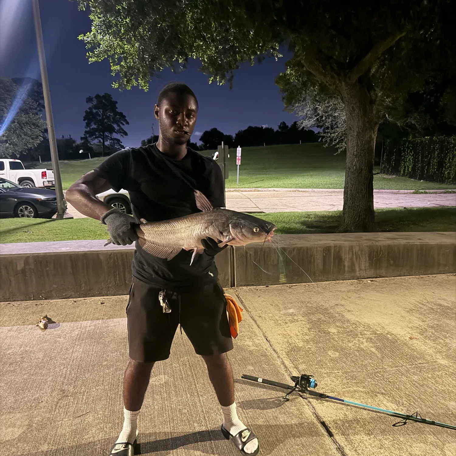 Channel catfish caught on Fishbrain