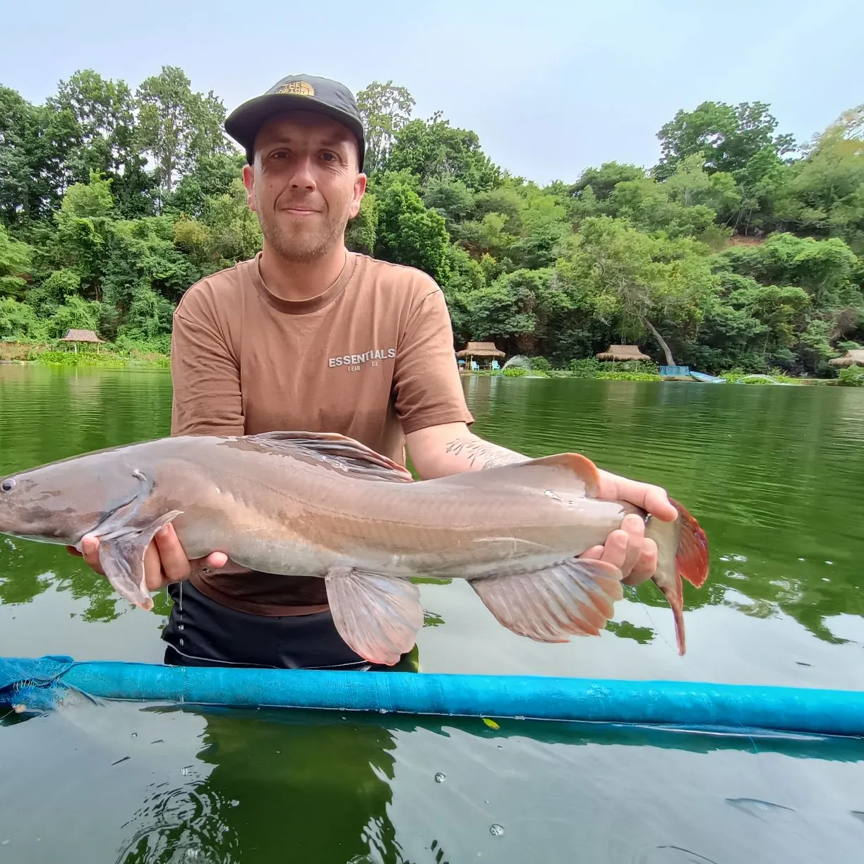 The most recent Asian redtail catfish catches on Fishbrain