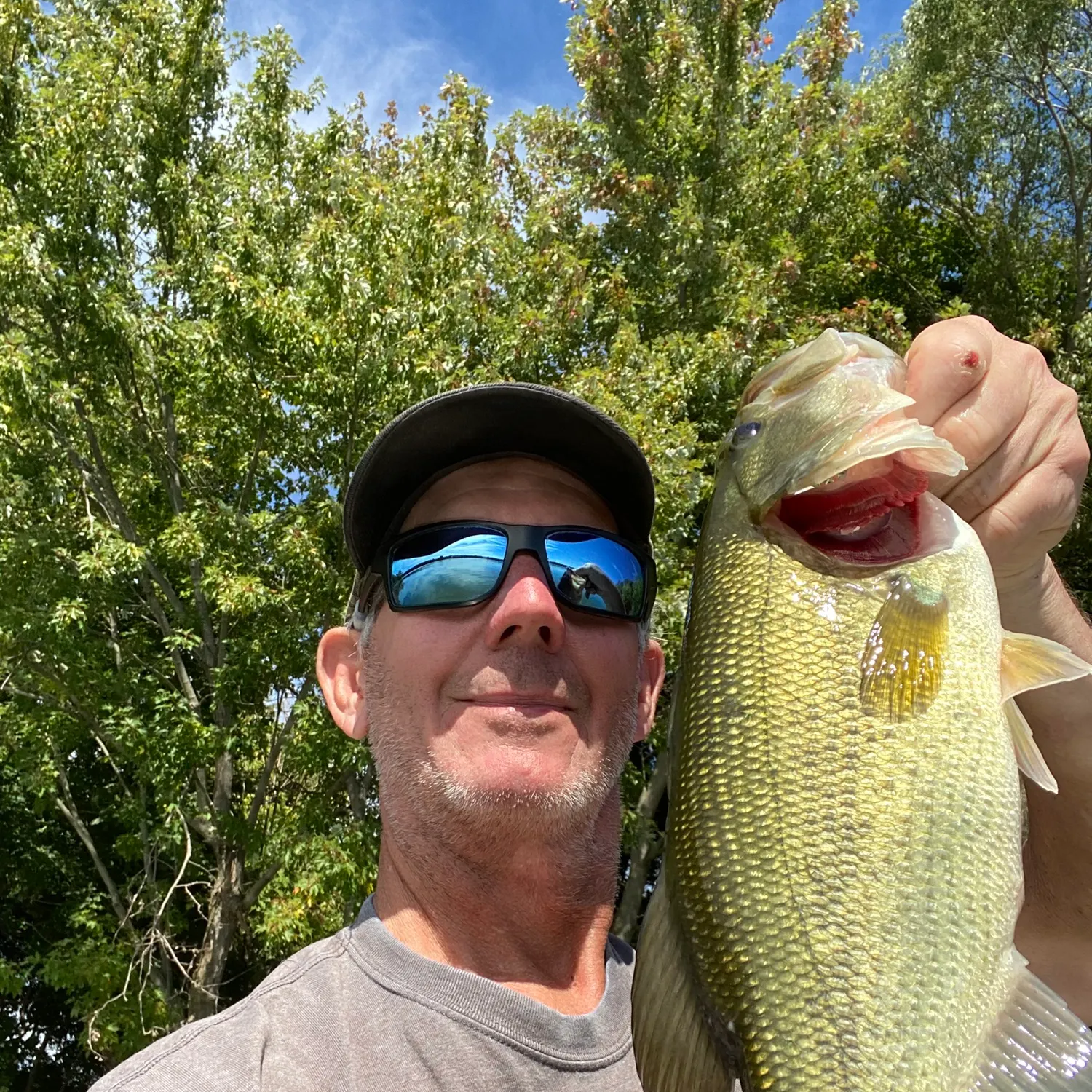 Largemouth bass caught on Fishbrain