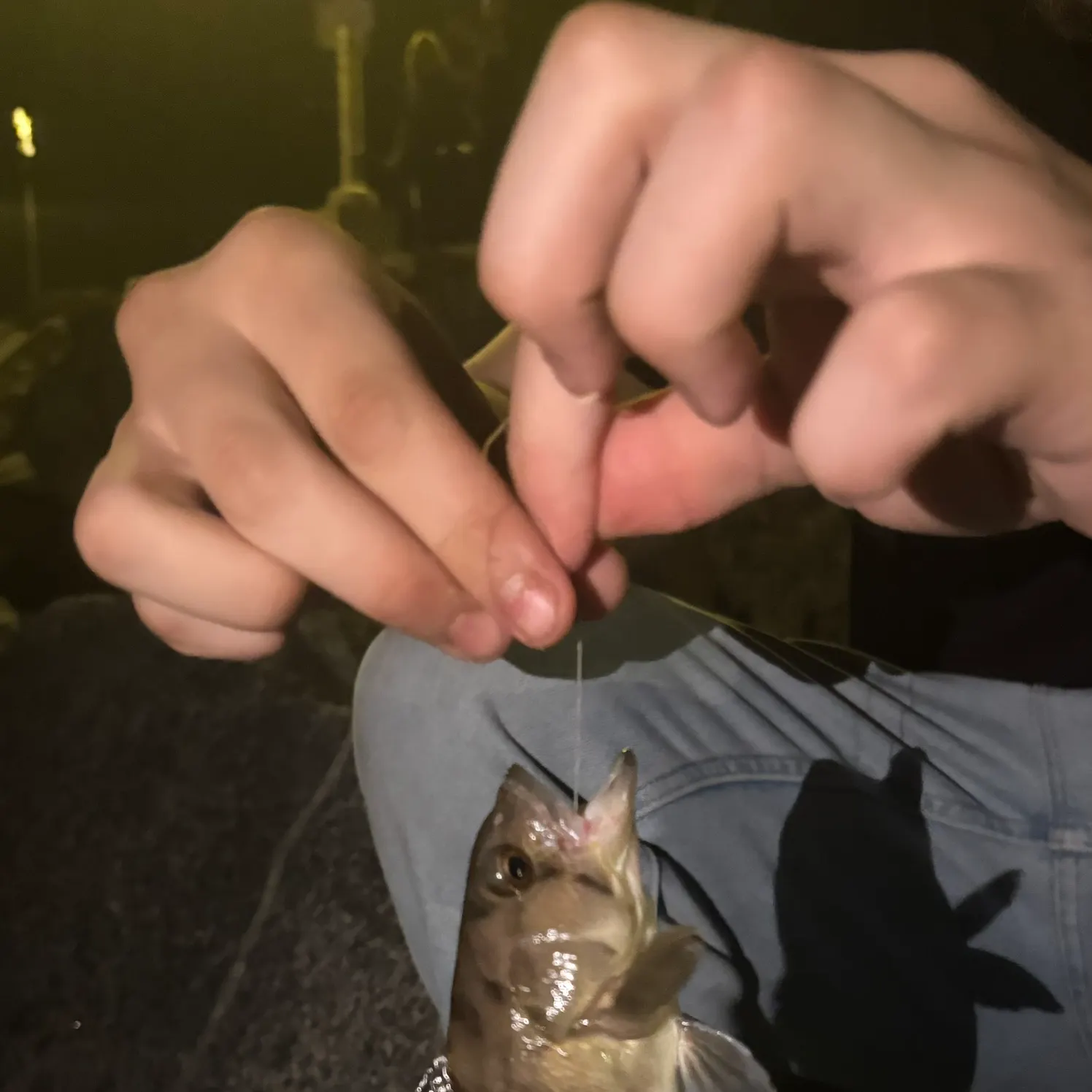 catch