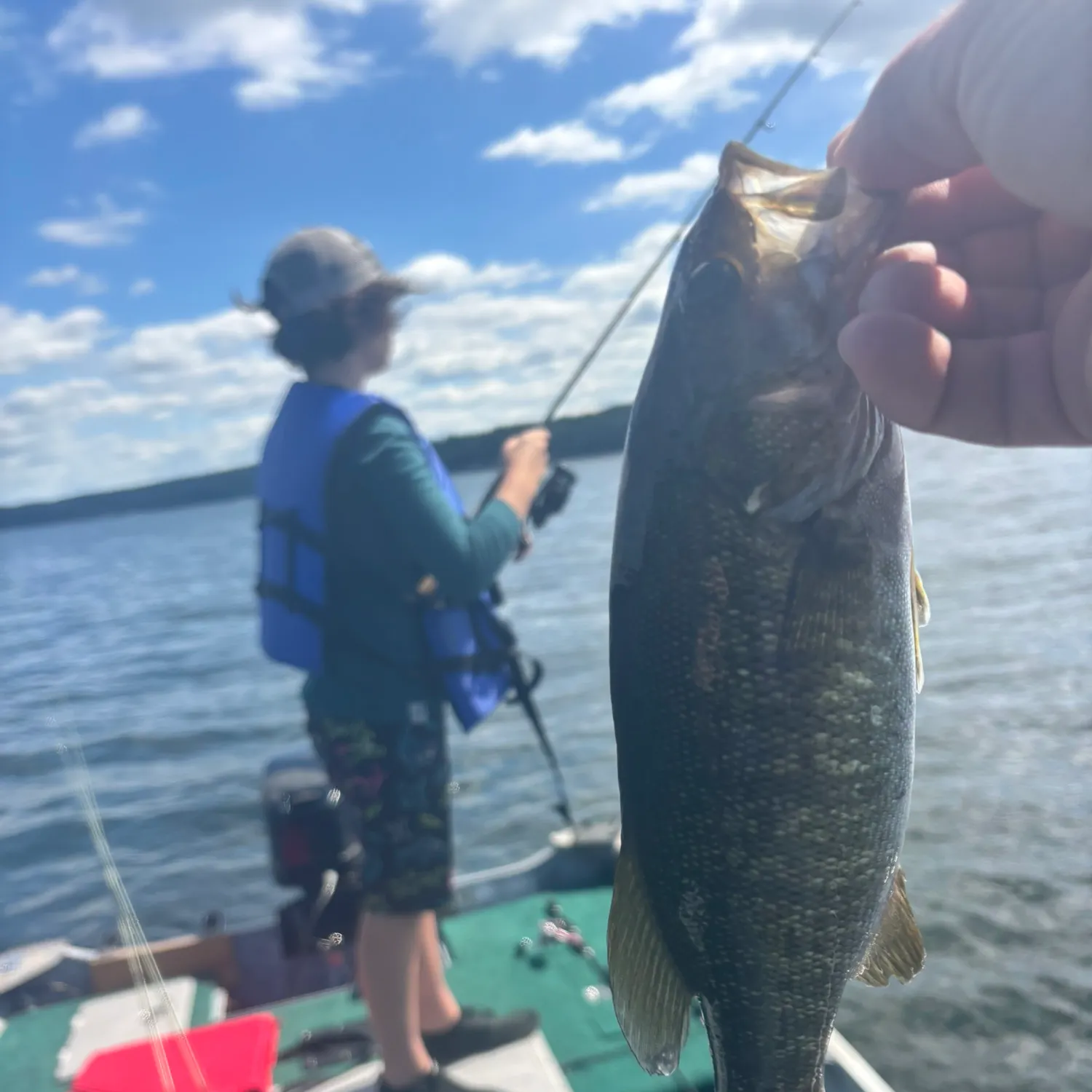 Smallmouth bass caught on Fishbrain