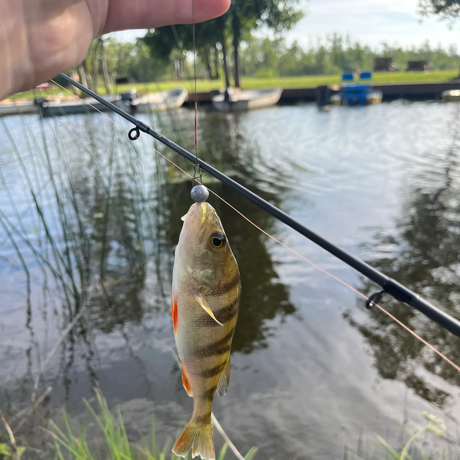 catch