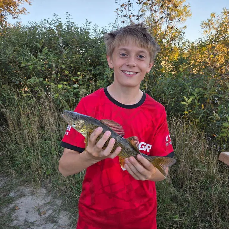 Walleye caught on Fishbrain