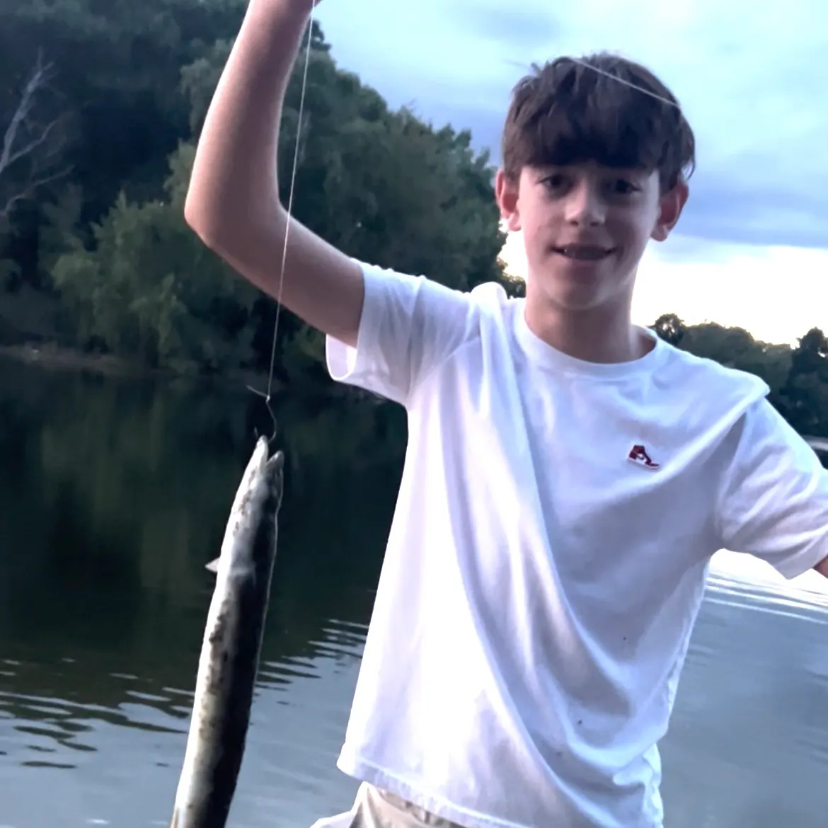 American eel caught on Fishbrain