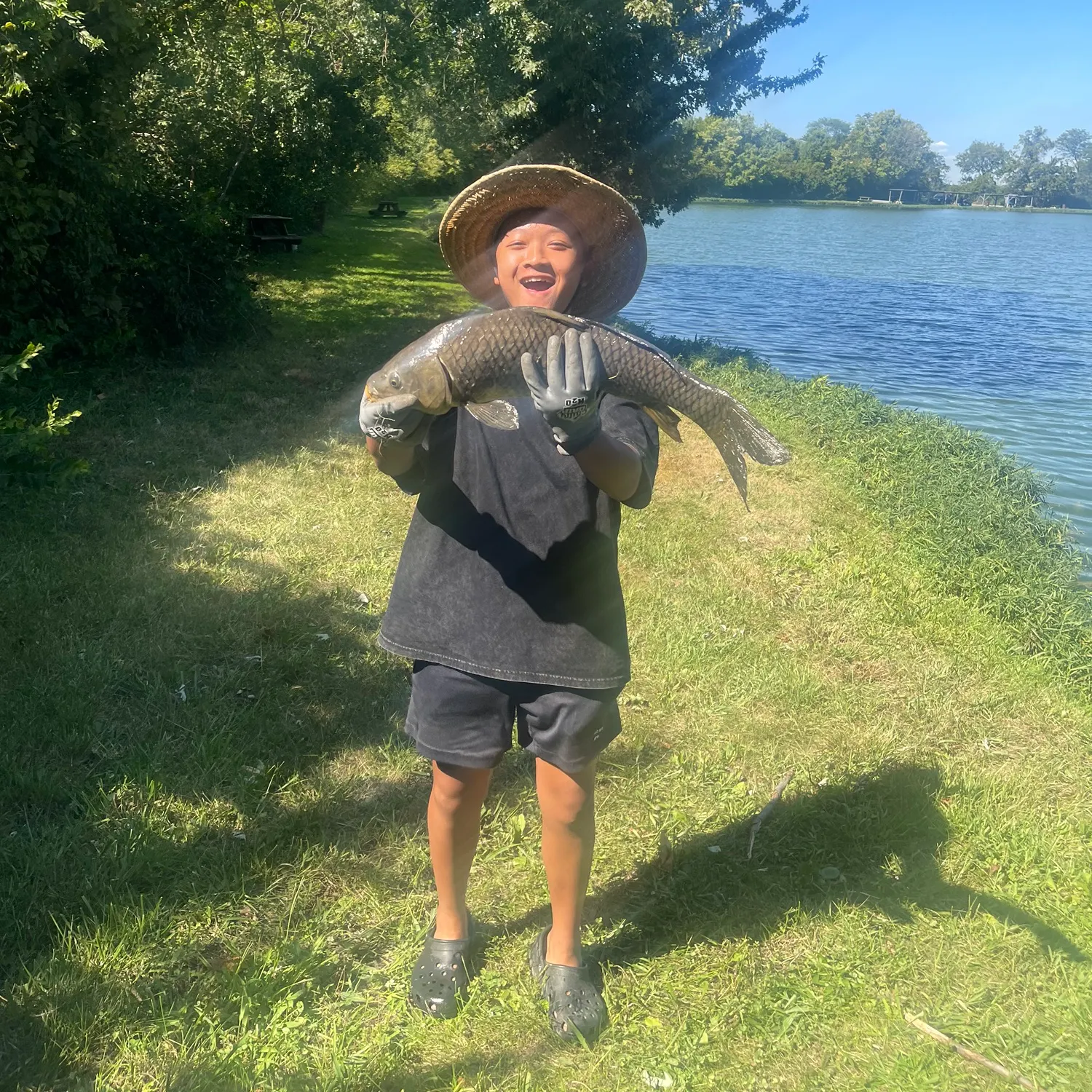 Common carp caught on Fishbrain