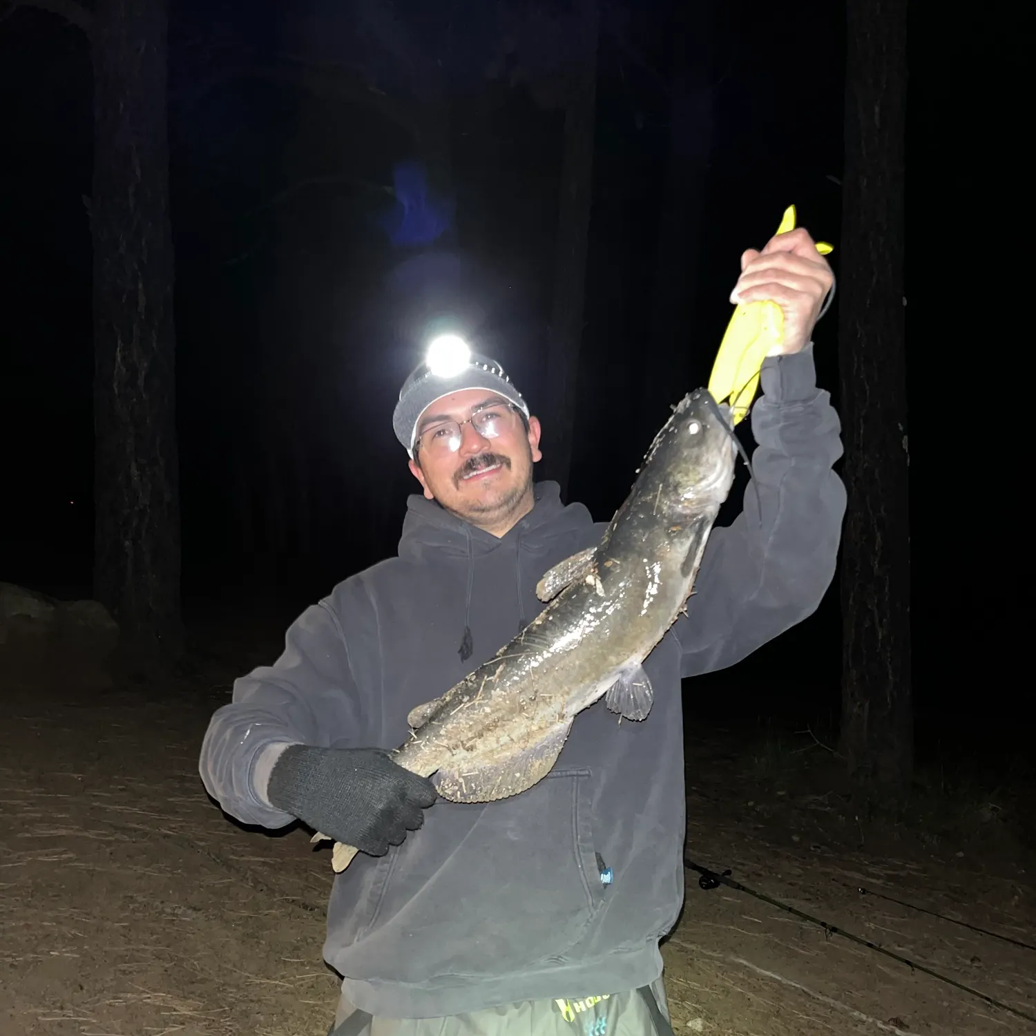 Fish caught on Fishbrain