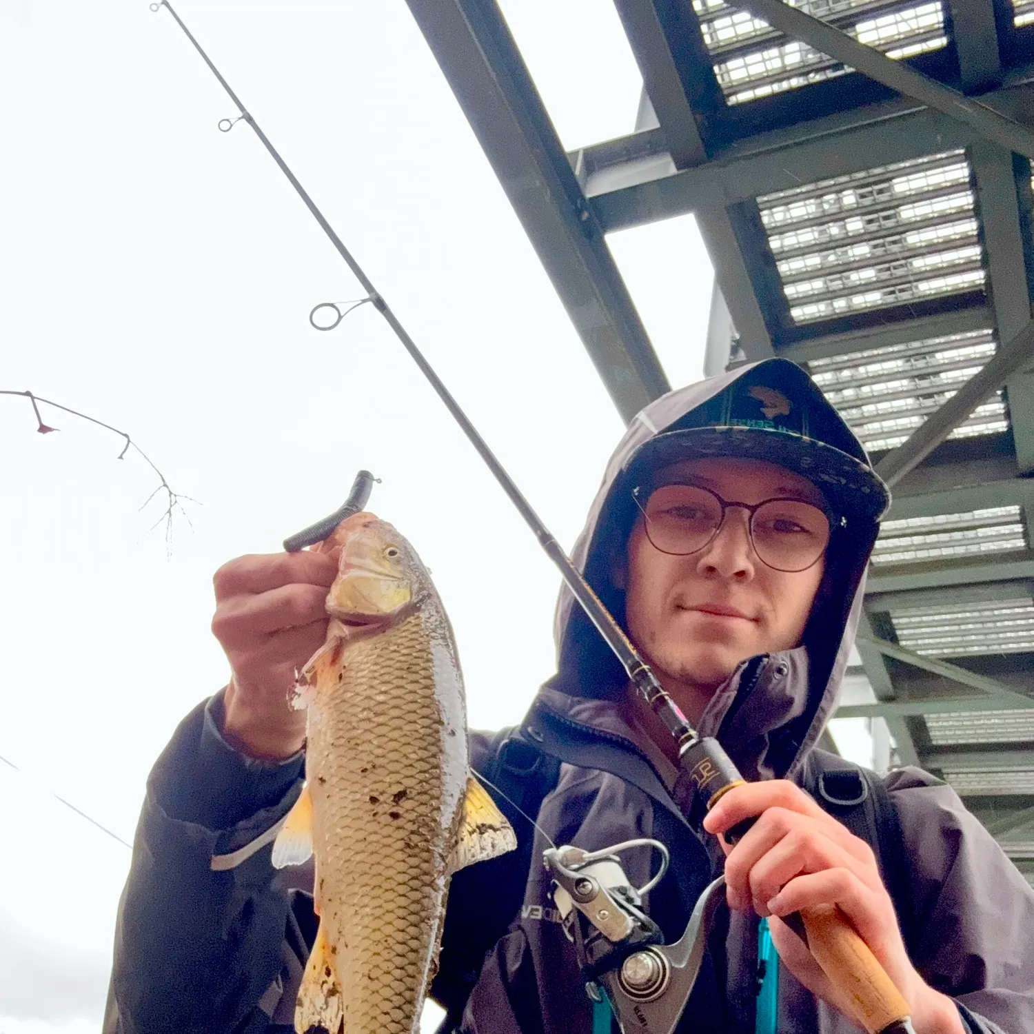 The most recent Fallfish catches on Fishbrain