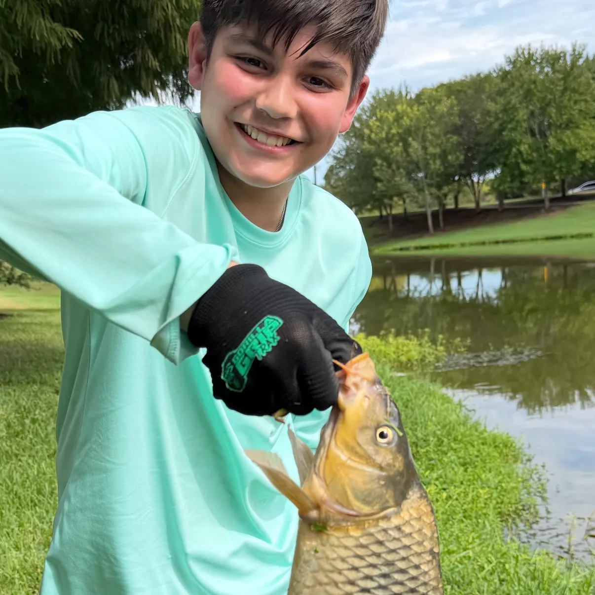 Common carp caught on Fishbrain