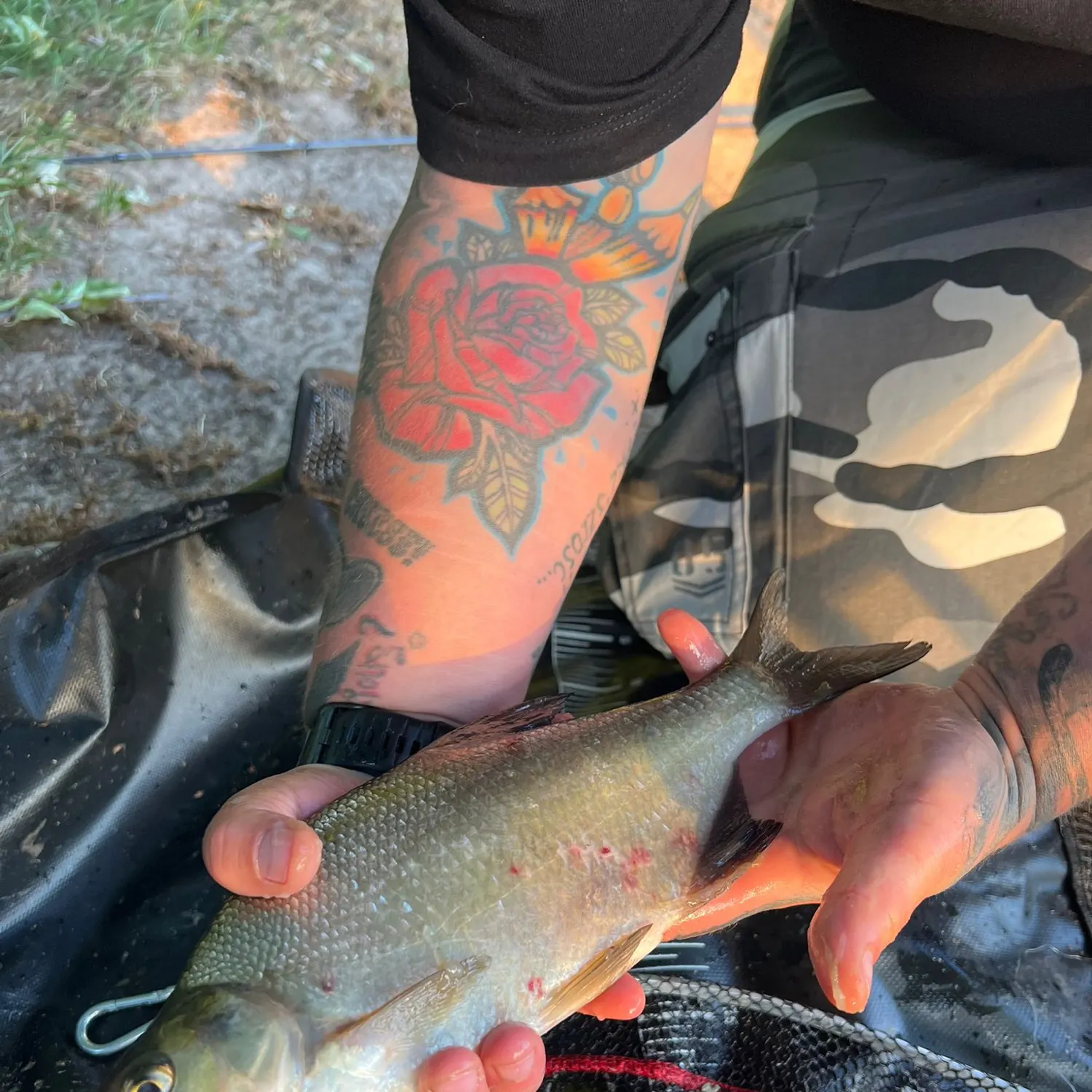 recently logged catches