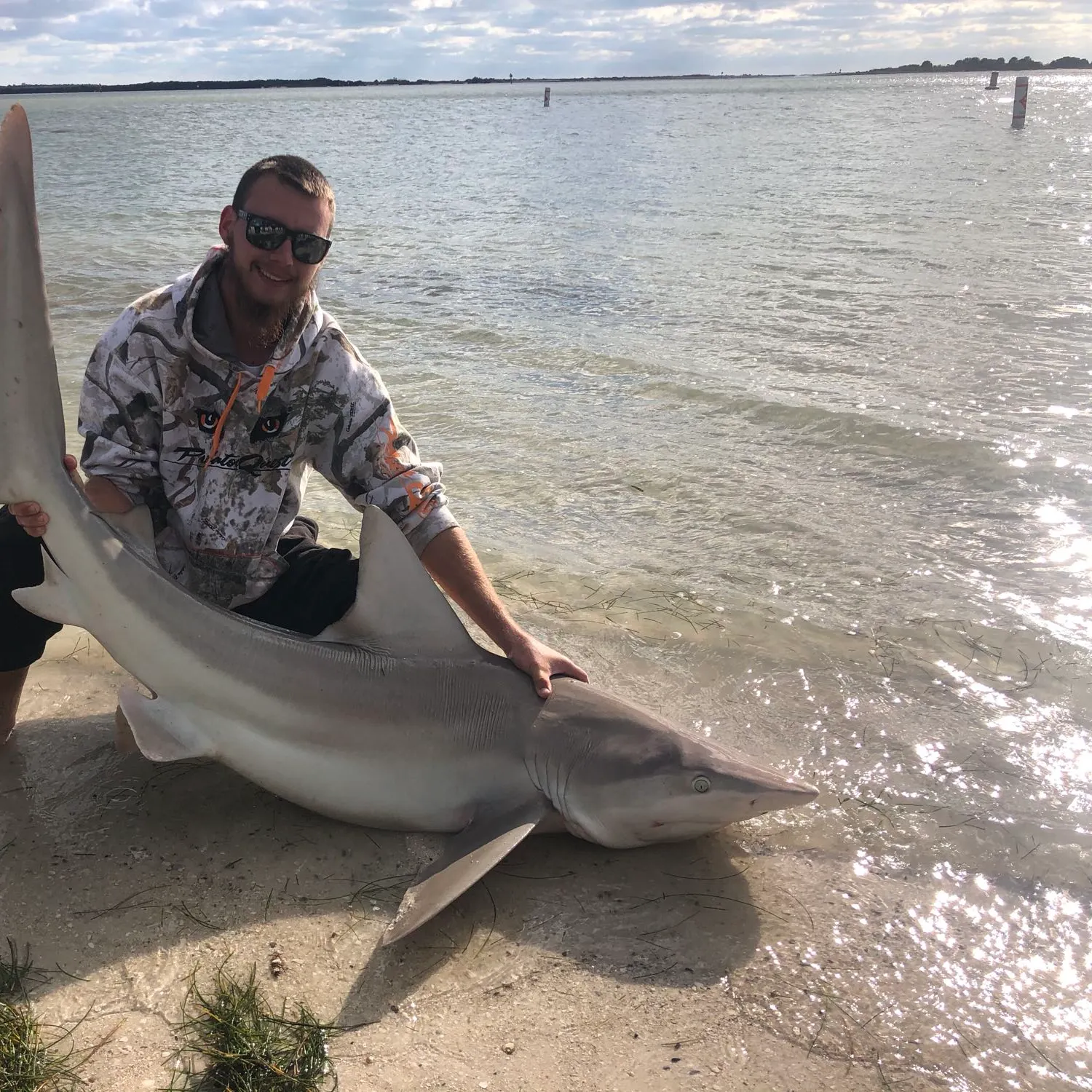 The most popular recent Sandbar shark catch on Fishbrain