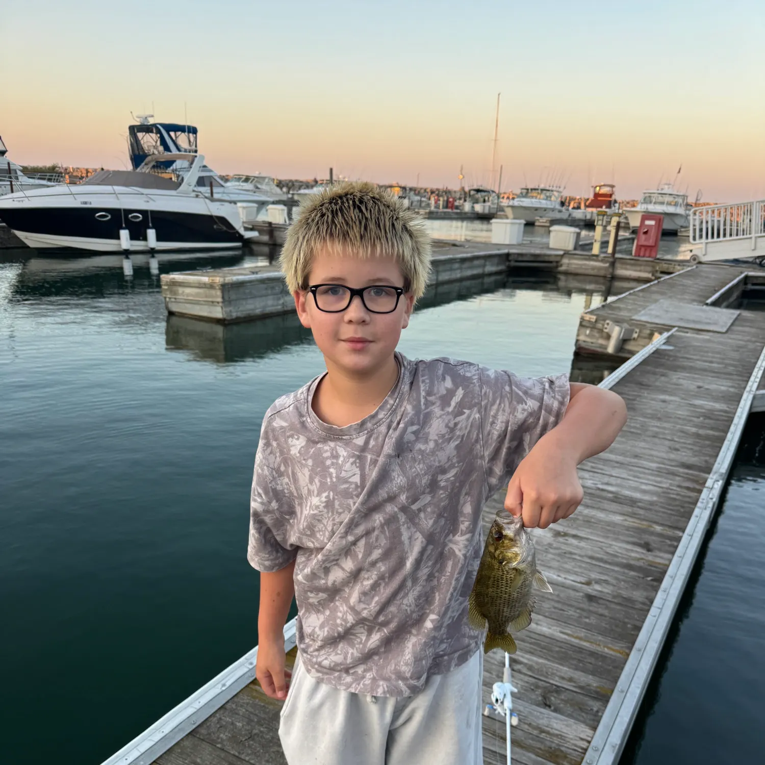 Rock bass caught on Fishbrain