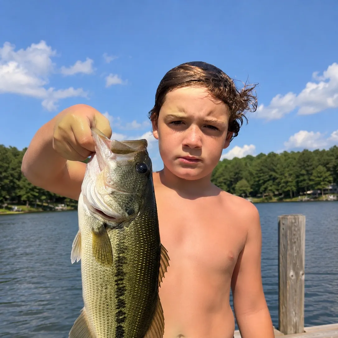 Fish caught on Fishbrain