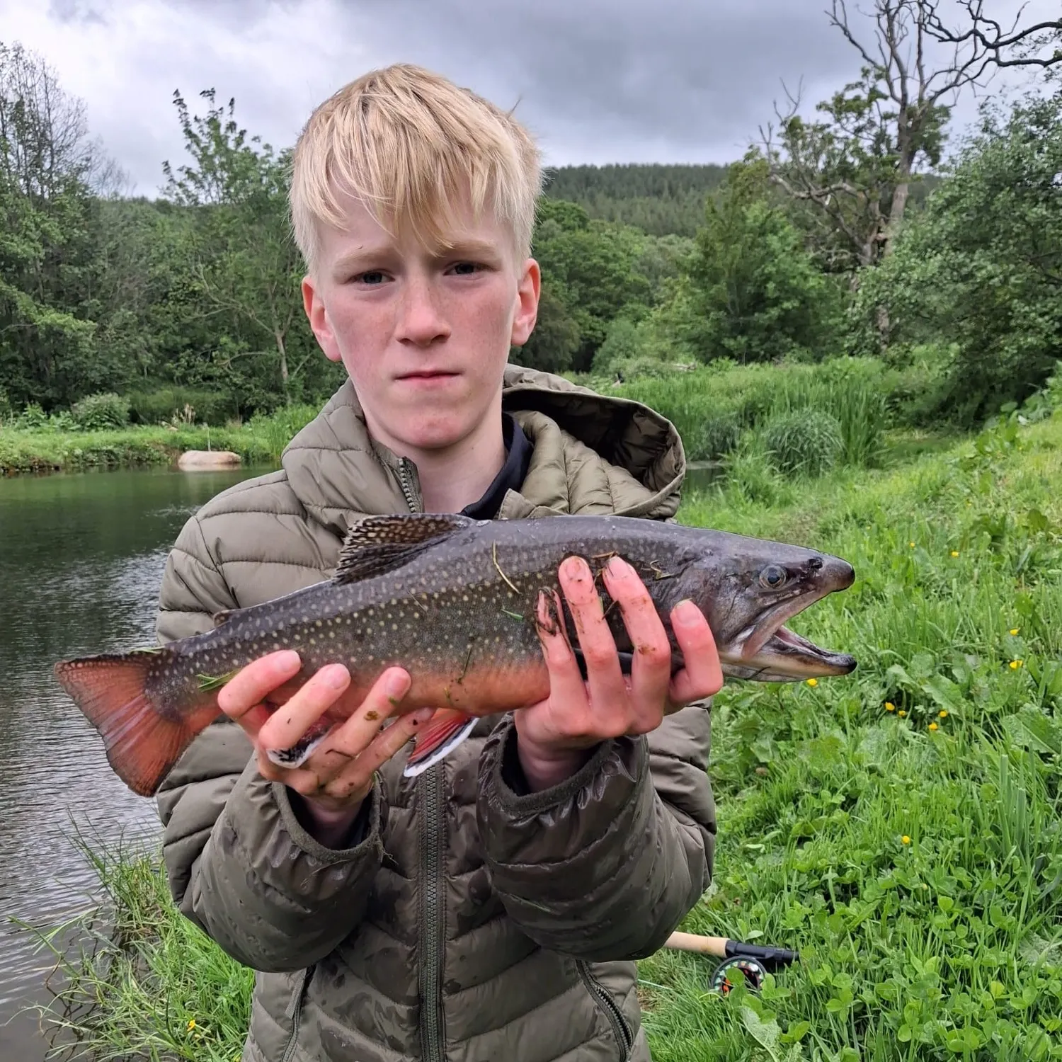 The most recent Salter brook trout catches on Fishbrain
