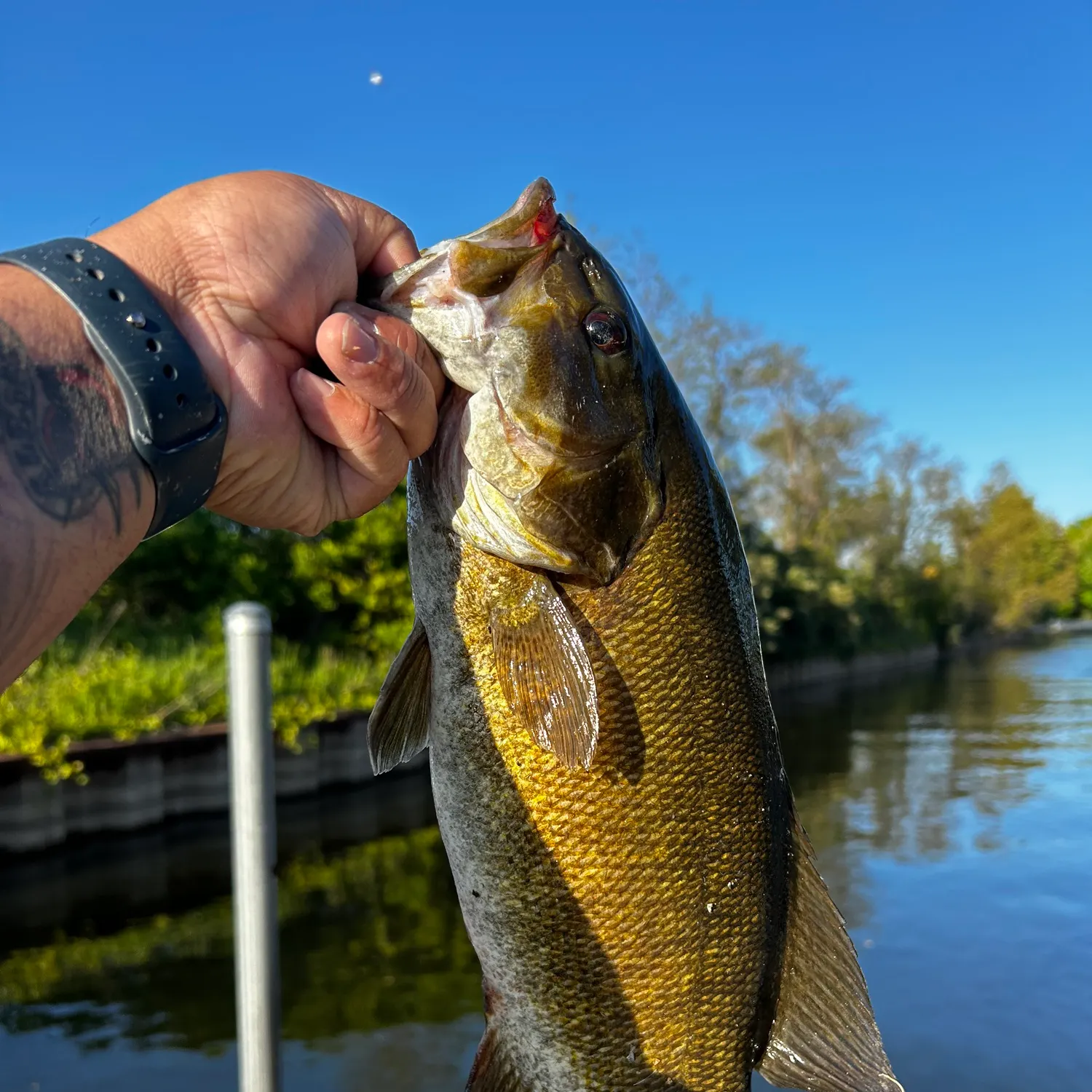 catch