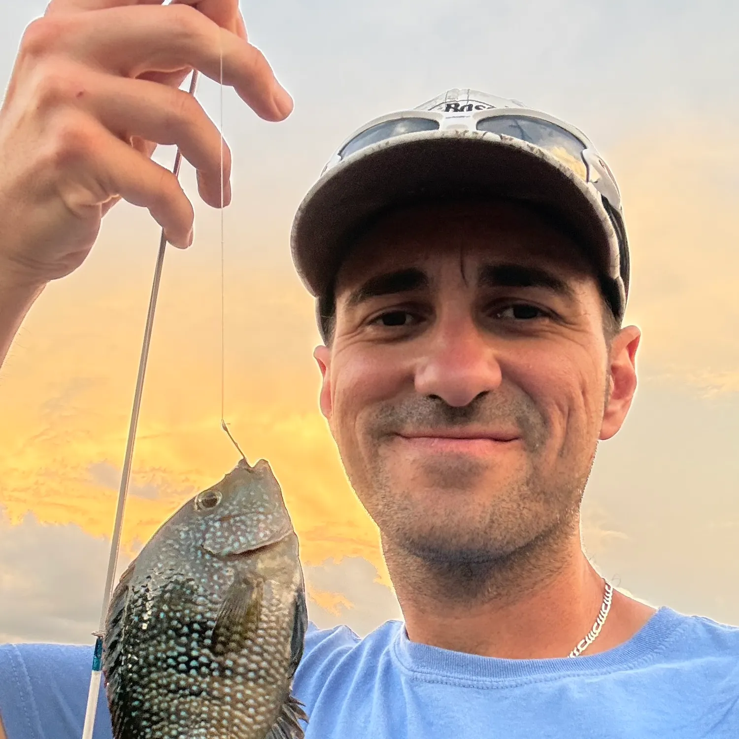 Rio Grande cichlid caught on Fishbrain