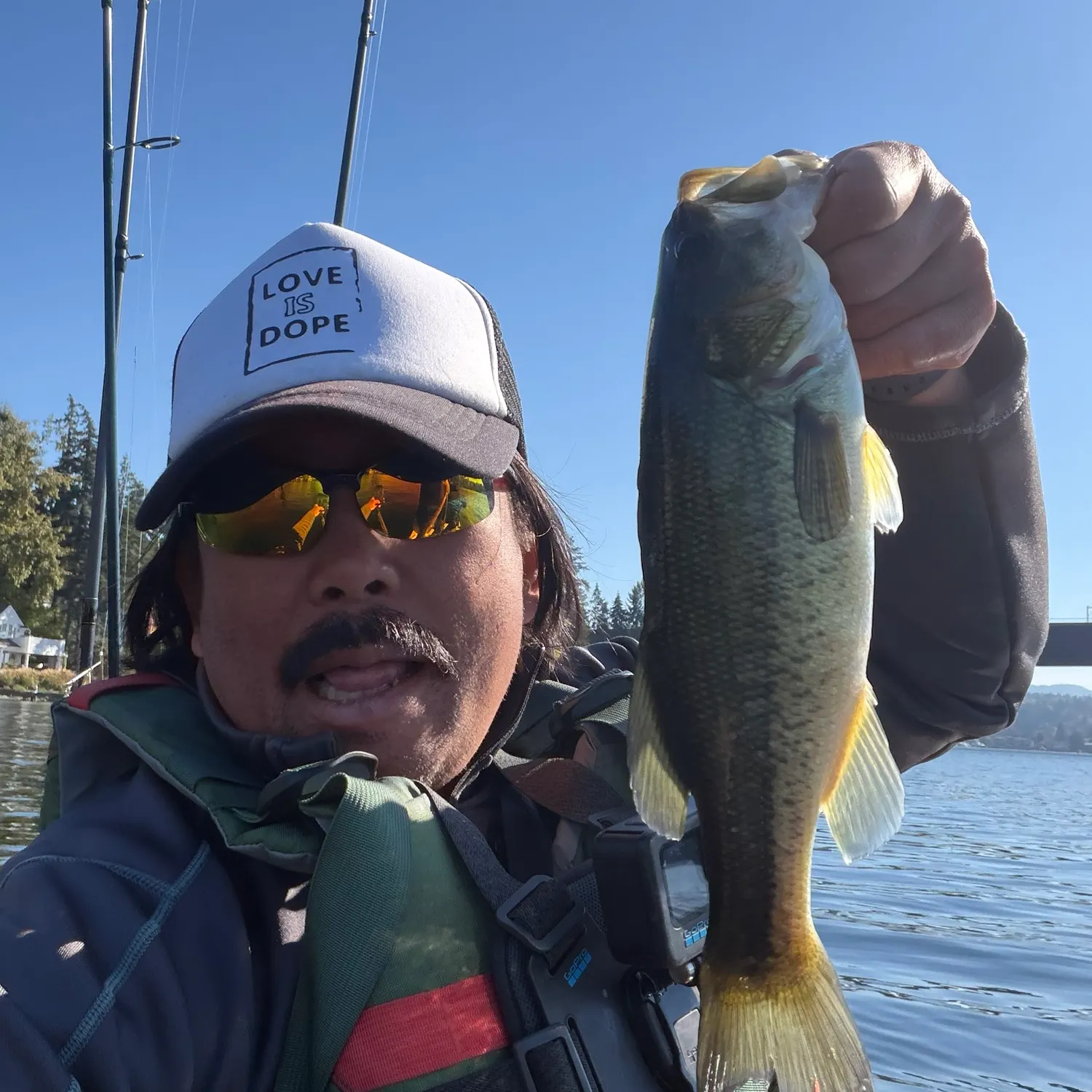 Largemouth bass caught on Fishbrain
