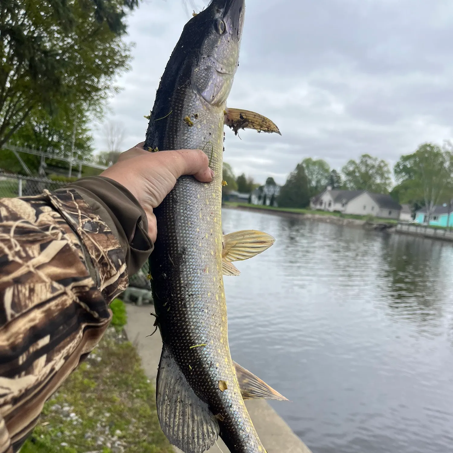 catch