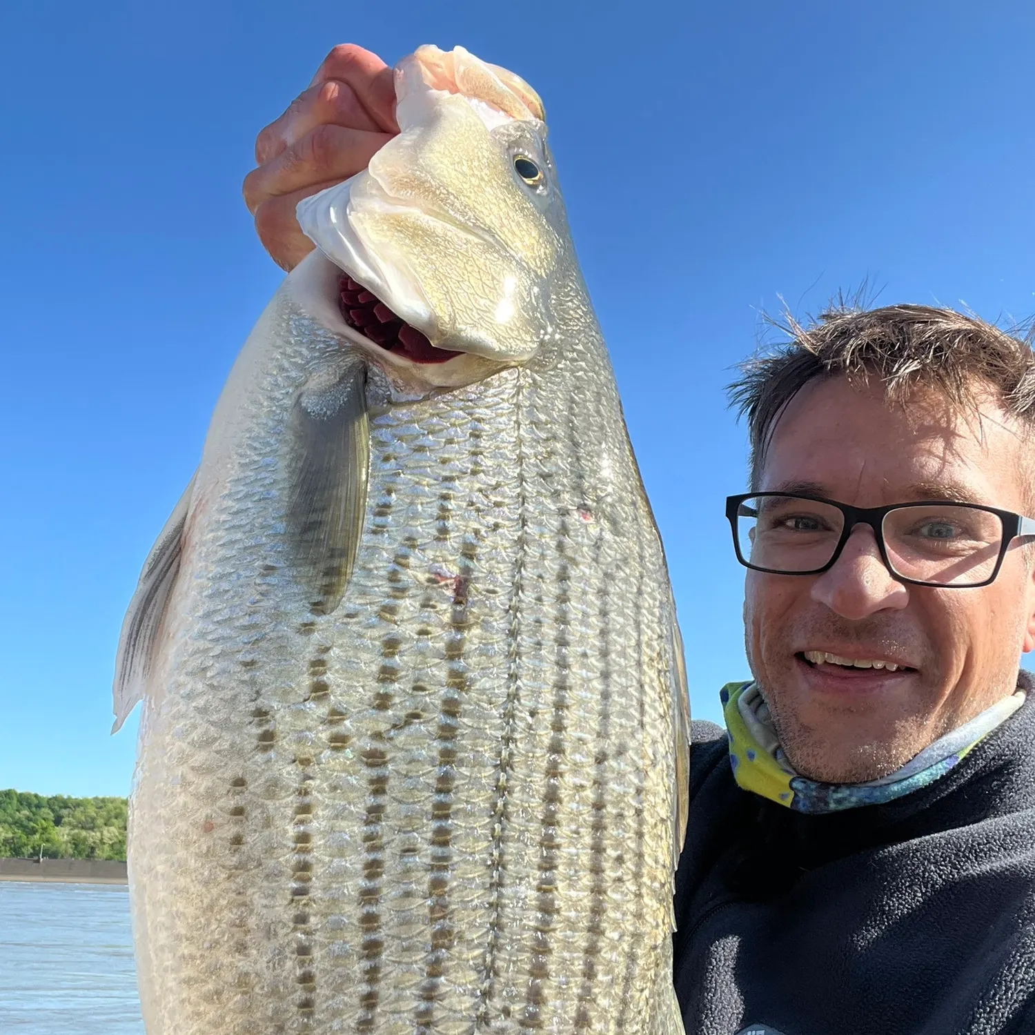 The most recent Hybrid striped bass catches on Fishbrain