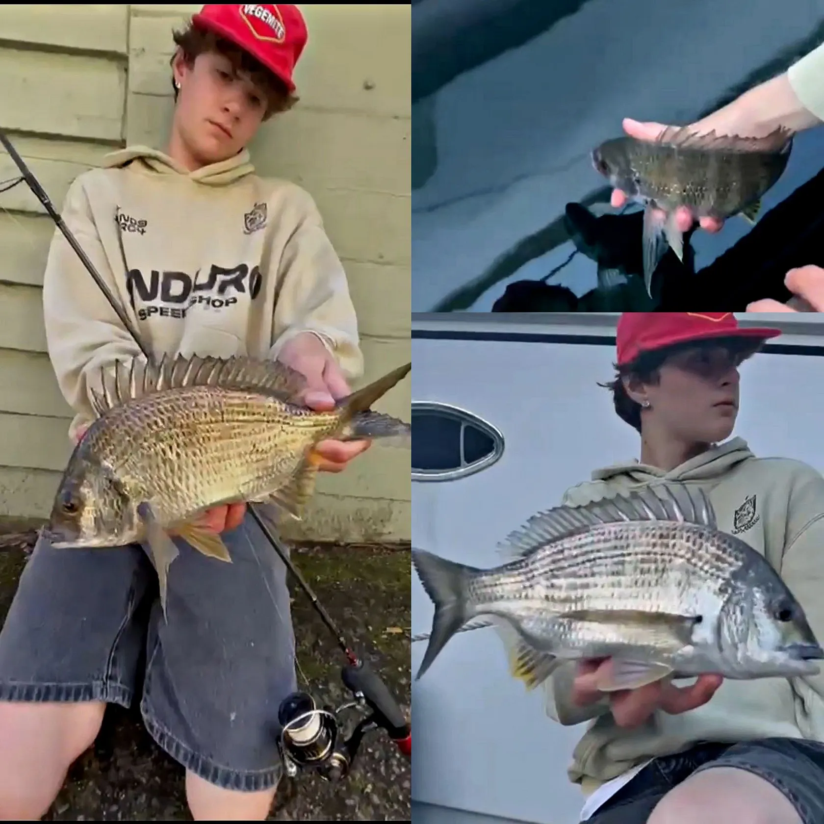 recently logged catches