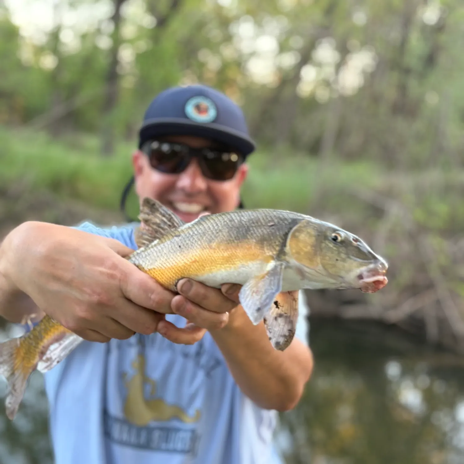 The most recent Sacramento sucker catches on Fishbrain