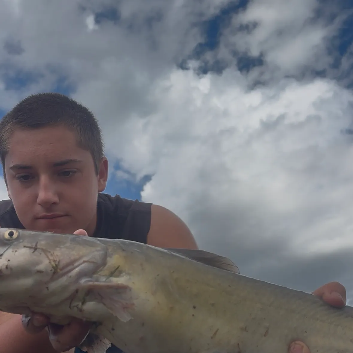 Channel catfish caught on Fishbrain