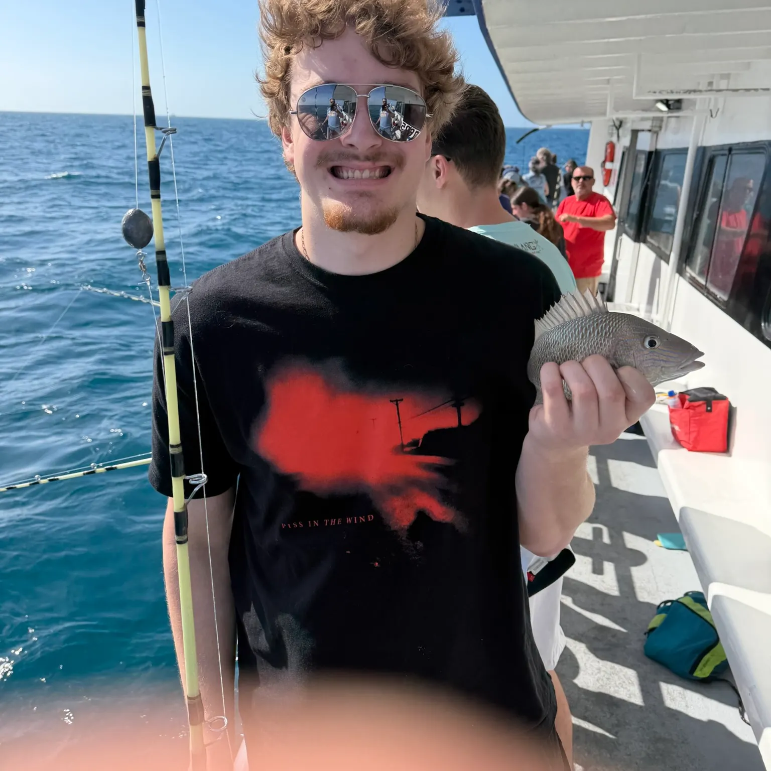 The most recent Littlehead Porgy catches on Fishbrain