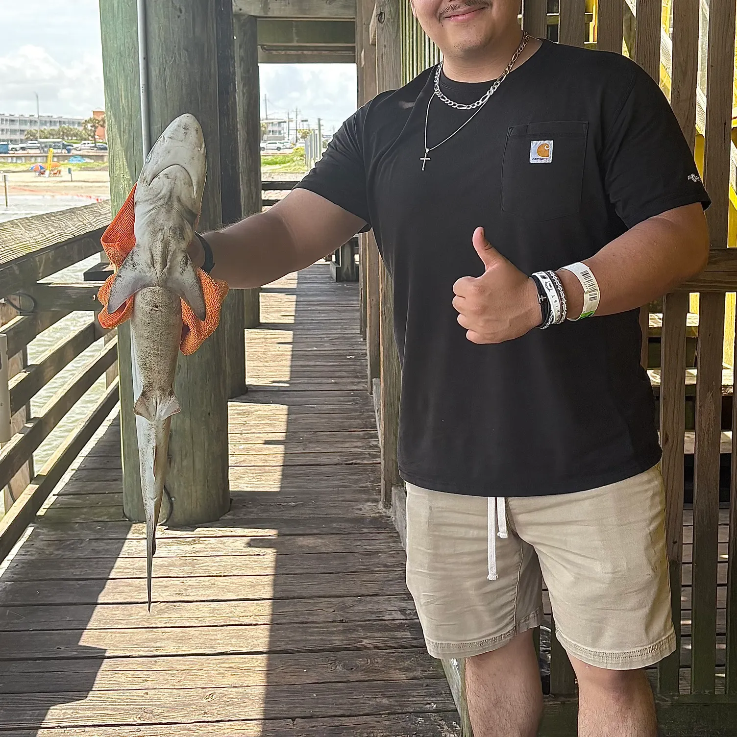 The most recent Blacktip reef shark catches on Fishbrain