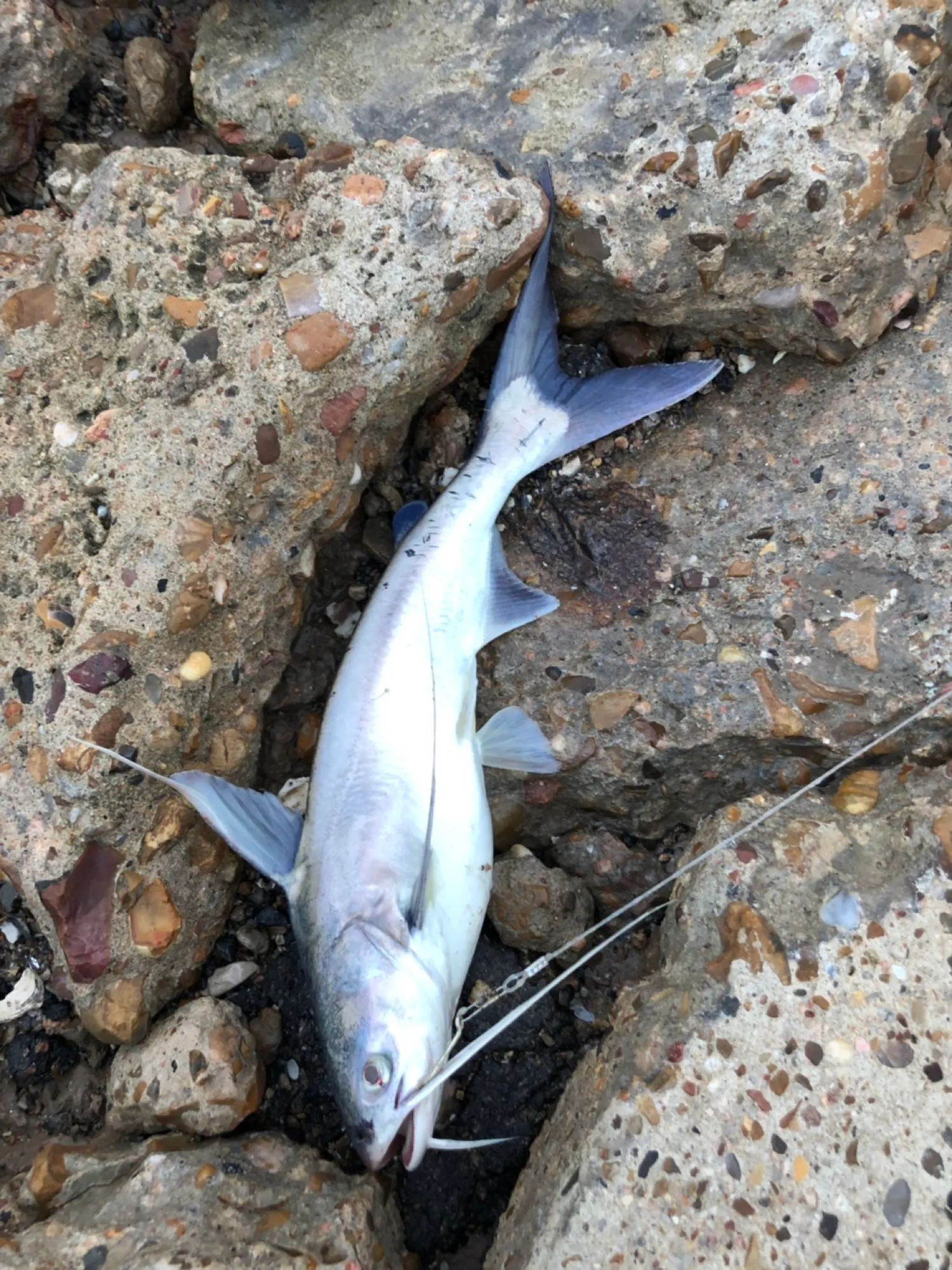 Post image from john.chapa