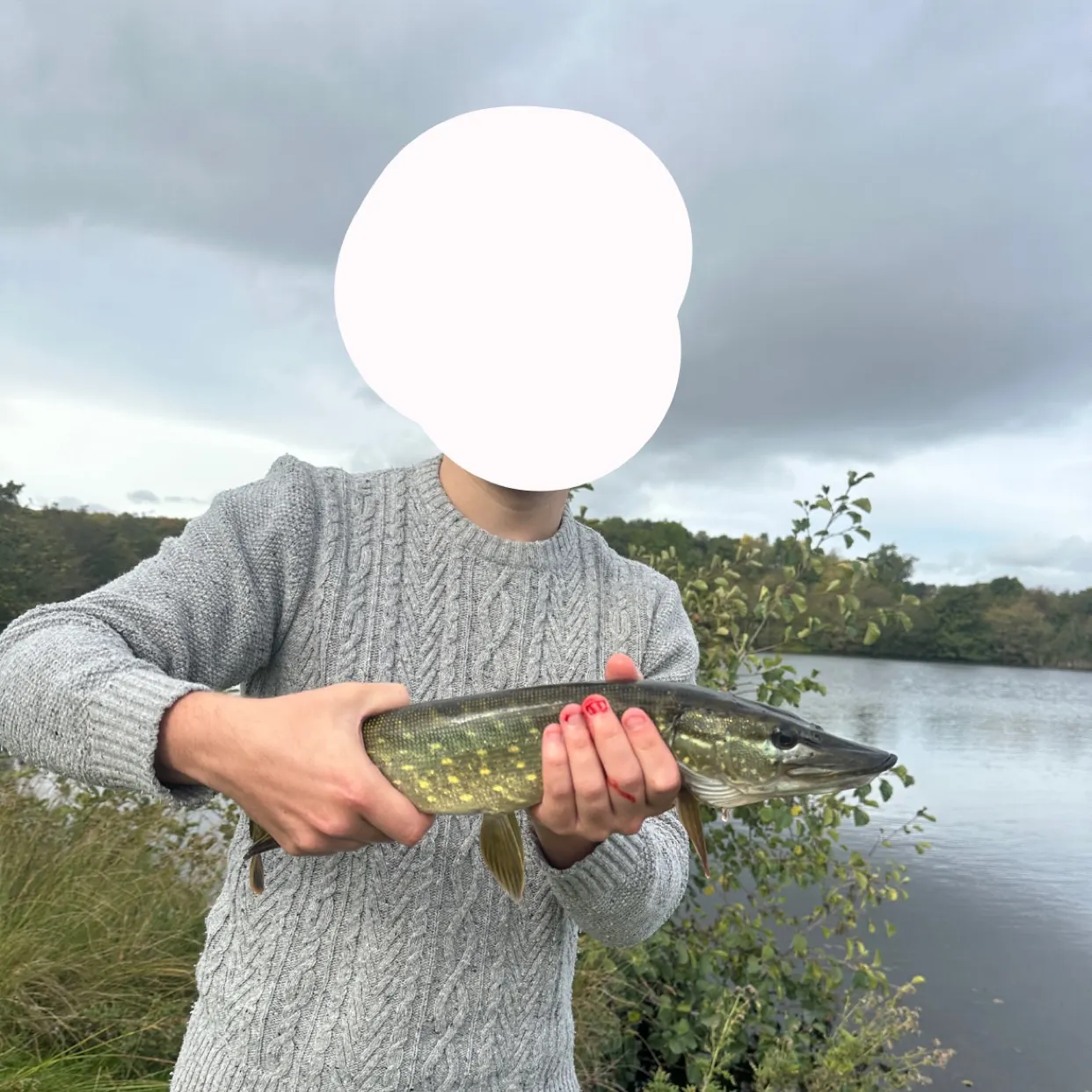 Northern pike caught on Fishbrain