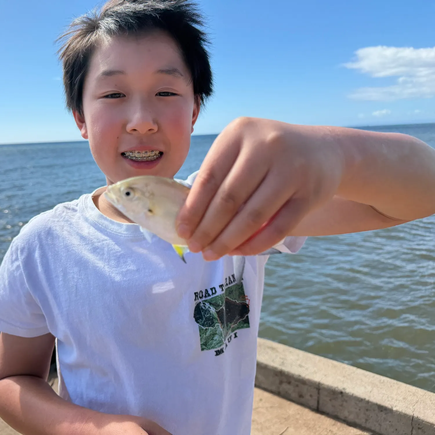 The most recent Bluefin trevally catches on Fishbrain