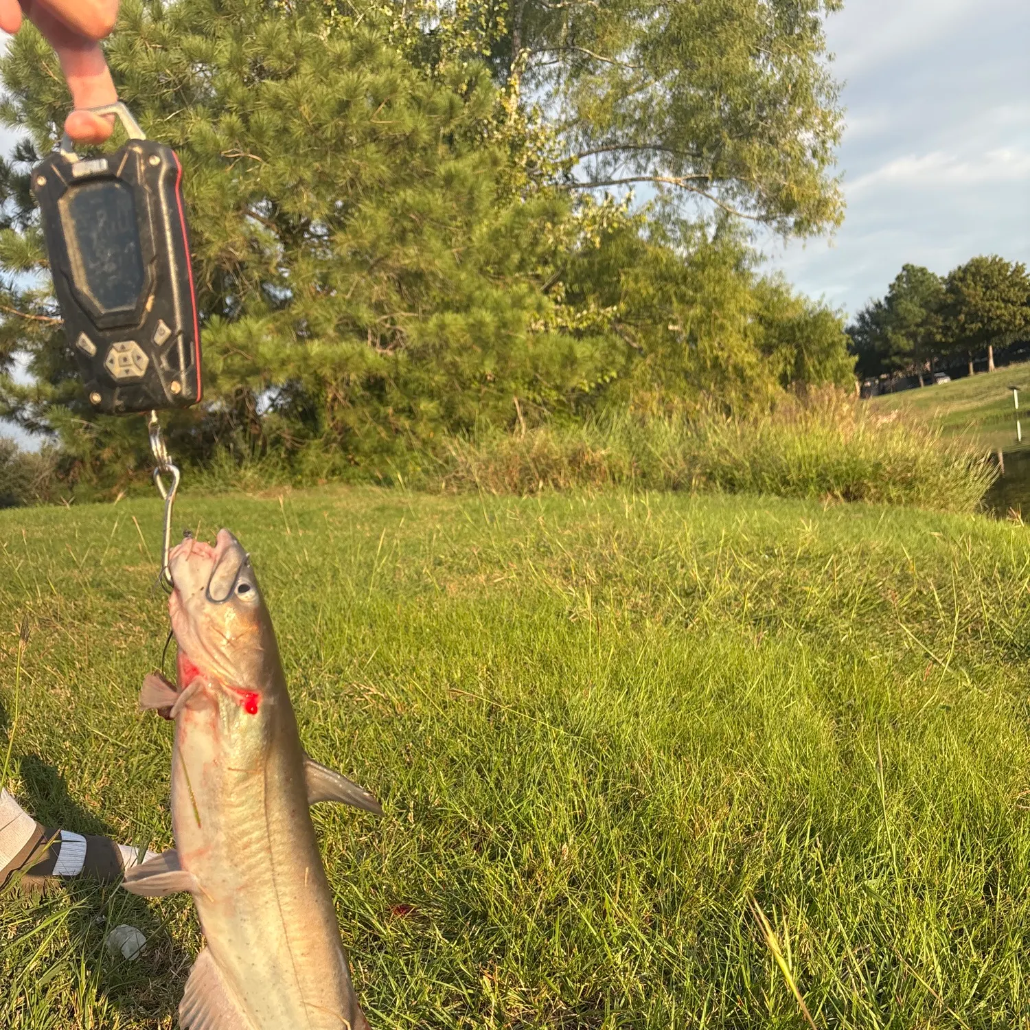 catch