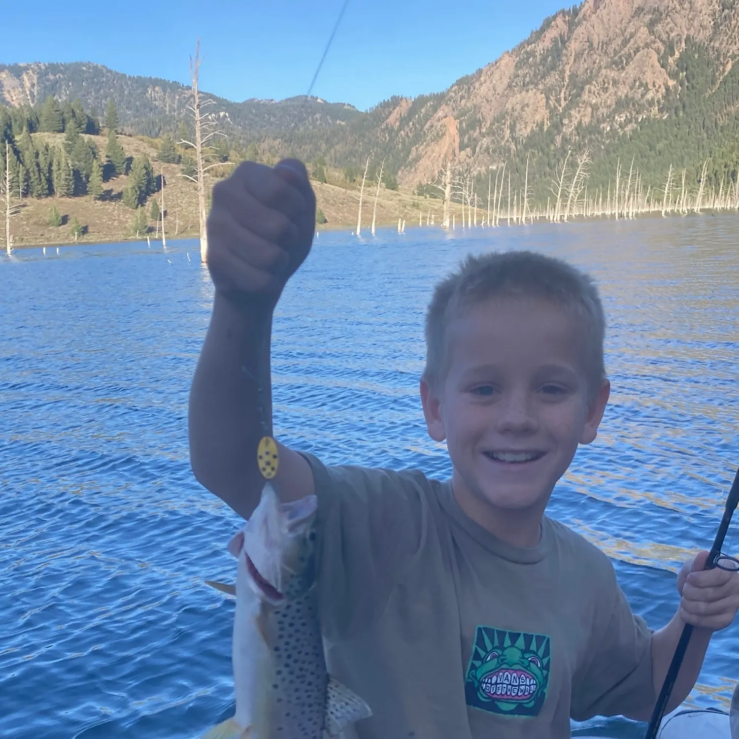 Brown trout caught on Fishbrain