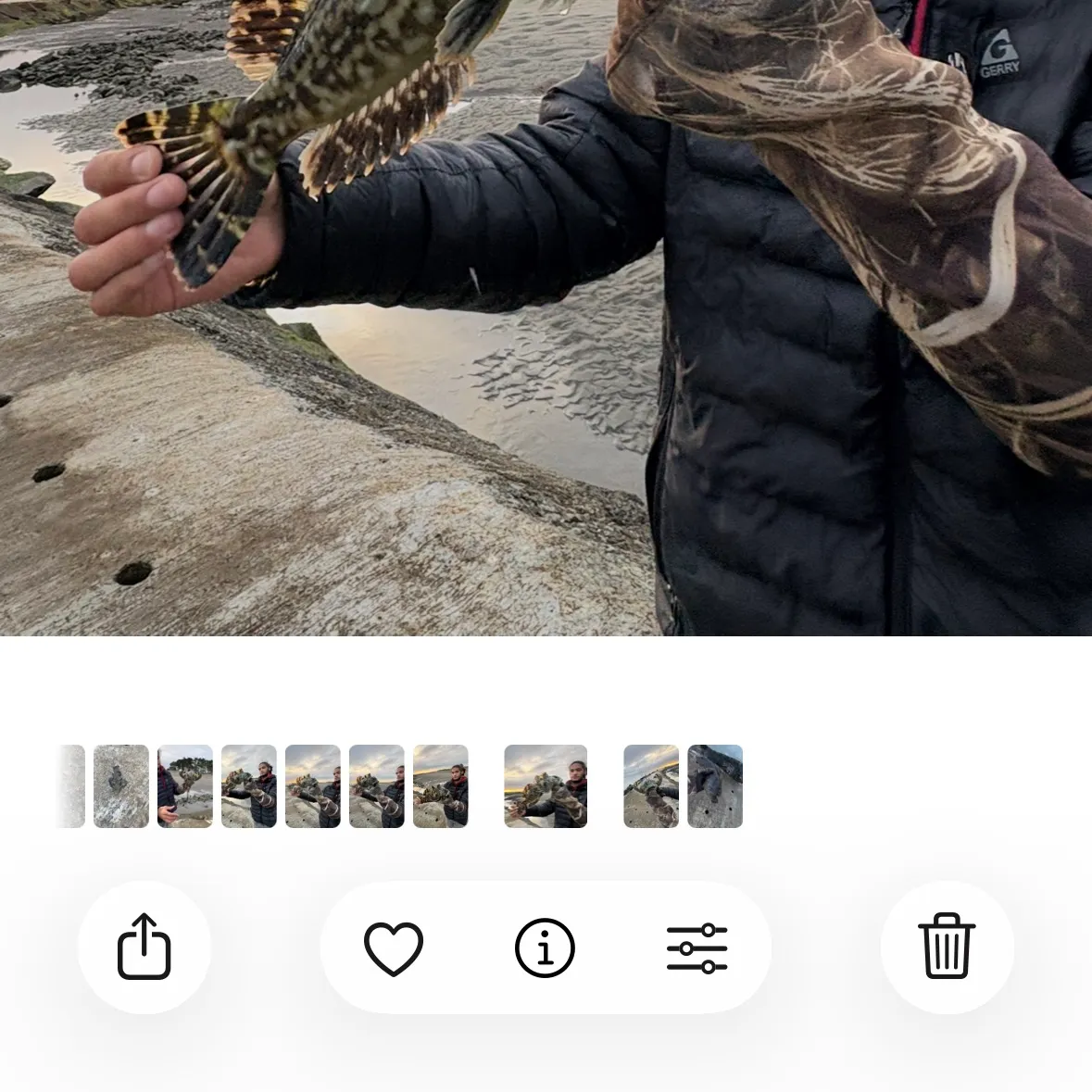 The most recent Cabezon catches on Fishbrain