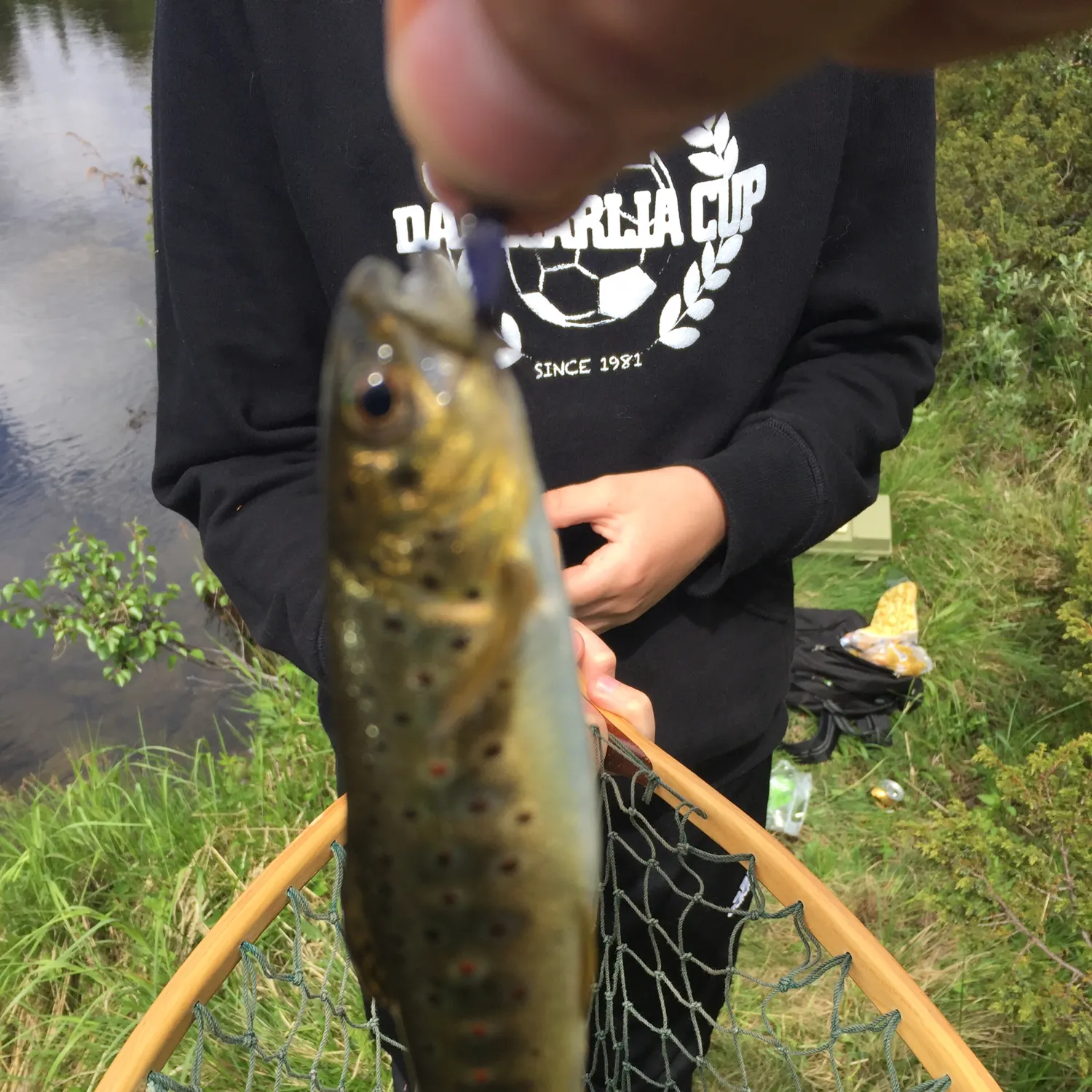 recently logged catches